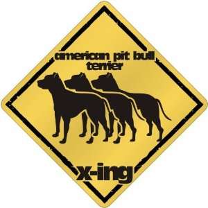   Pit Bull Terrier X Ing / Xing Iii  Crossing Dog