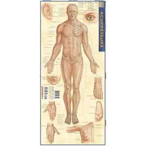  Acupressure, Laminated Giude, sold by 100