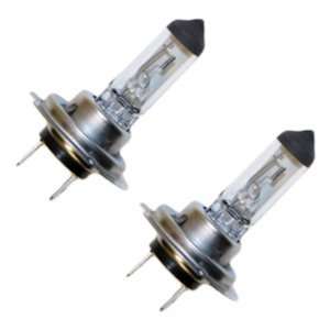   03855   H755CVXL2 Miniature Automotive Light Bulb