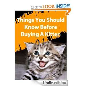 Things You Should Know Before Buying A Kitten   Buy Your Copy Now 