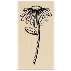  Sketched Flower 02   Rubber Stamps Arts, Crafts & Sewing