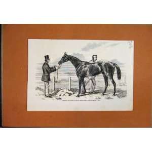  1859 Gamester Racehorse Winner St Leger Harry Hall