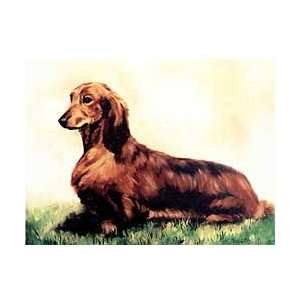  Longhaired Red Dachshund Notecards