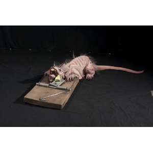  Rat Trap Animated
