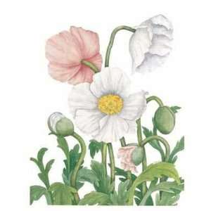  Airy Poppies Poster Print