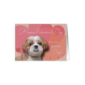  Happy Valentines Day from your favorite Dog Card Health 