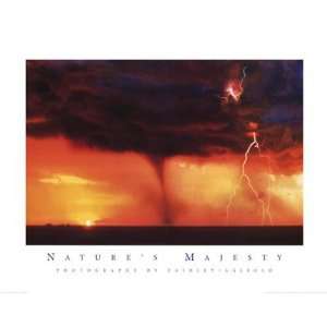 Natures Majesty II Finest LAMINATED Print Faidley / Agliolo 28x22