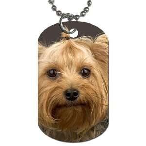 Yorkie puppy Dog Tag with 30 chain necklace Great Gift Idea