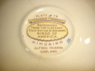 Alfred Meakin England cup and saucer, #79 Kingbird  