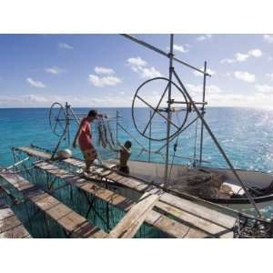  Hinano Black Pearl Farm, Fakarawa, Tuamotu Archipelago 