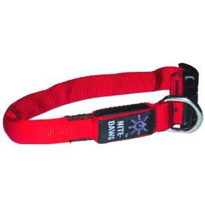  Nite Dawg LED Illumated Collar   Closeout   Red   Small 
