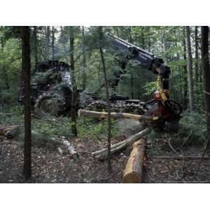  Valmet Forwarder, Green Certification, Logging, Maine, USA 