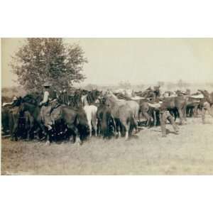  Roping and changing scene at   T Camp on round up of   T 