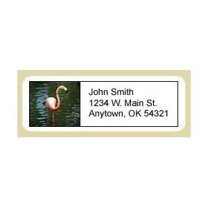  Flamingo Address Labels