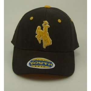  Wyoming Cowboys Youth Team Color One Fit Hat Sports 