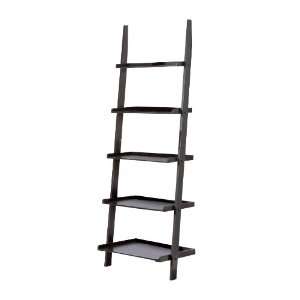    Contemporary Black Finish 5 Tier Ladder Book Shelf