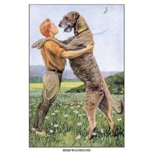 Irish Wolfhound by Louis Agassil Fuertes 12x18 