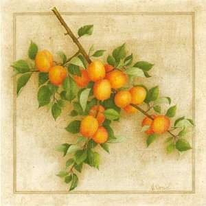  Abricots de Nancy by Vincent Perriol 12x12 Health 