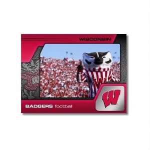 Bucky Badger and Wisconsin Fans 9x12 Unframed Photo by Replay Photos 