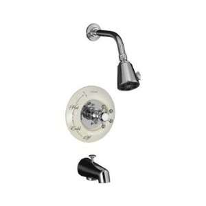  Tub And Shower Set by Kohler   K T130 3D in Vibrant 