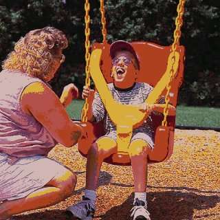  Park Playground Play Designs Accessible Swing Seat Sports 