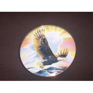 FRANKLIN MINT COLLECTORS PLATE WINGS OF MAJESTY PLATE NO# I2632 COMES 