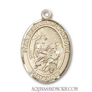  St. Bernard of Montjoux Medium 14kt Gold Medal Jewelry