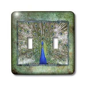  Susan Brown Designs Animal Themes   Peafowl   Light Switch 