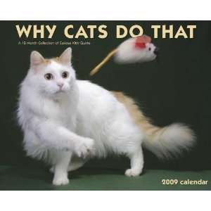  Why Cats Do That 2009 Wall Calendar