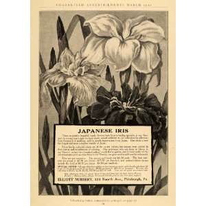   Ad Elliot Nursery Japanese Iris Flowers Glasshouse   Original Print Ad