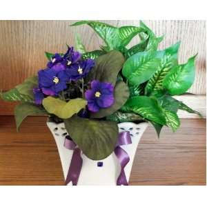    February Birth Month Flower   African Violets