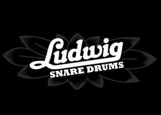 Ludwig Snare Drum 6.5x14 Polished Bronze Rocker LM306  