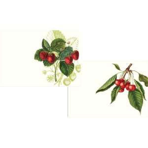  with Caspari Les Fruits Rouge Blank Notecard Arts, Crafts & Sewing