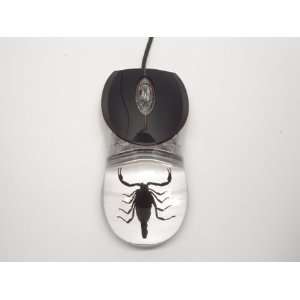  Computer Mouse Black Scorpion Clear 
