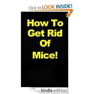   Get Rid Of Mice Inside Or Outside Of Your Home Derek Jarred 