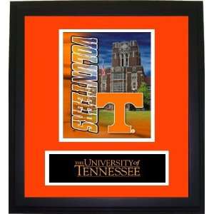 R and R Imports, Inc. MFP C TEN OR Tennessee Volunteers 17 