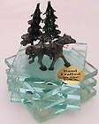 eastern white pine trees 36 inches tall hardy  