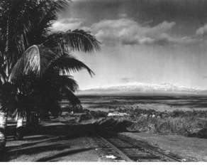 HAWAII BLACK & WHITE PHOTO HILO MAUNA KEA TRAIN TRACKS  