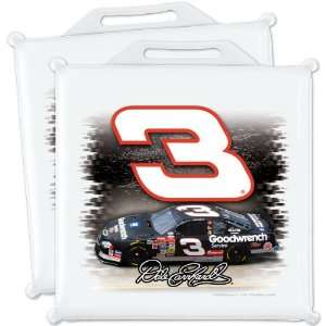  Wincraft Dale Earnhardt Seat Cushions   Set of 2 