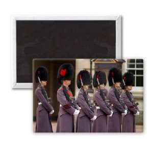  Buckingham Palace Guards   3x2 inch Fridge Magnet   large 