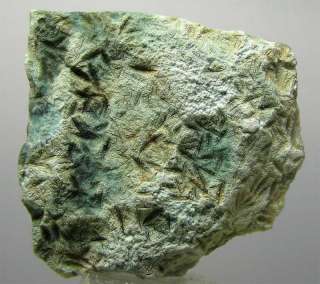 mtorolite green chrome chalcedony mtoro zimbabwe dimensions 59 x 55 x 