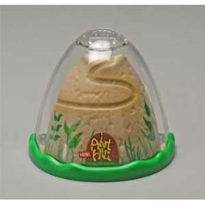  Insect Lore   Mini Anthill 5 (Science) Toys & Games