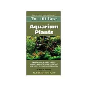  Tfh Nylabone ATFMC127S The 101 Best Aquarium Plants