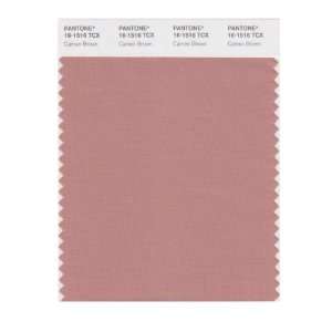  PANTONE SMART 16 1516X Color Swatch Card, Cameo Brown 