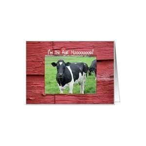  Invitation, barbeque, dairy cow Card Health & Personal 