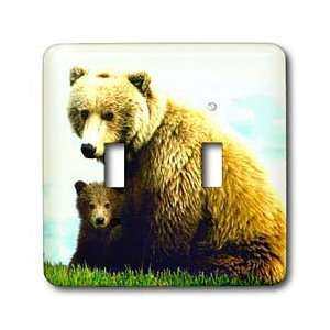  Wild animals   Brown Bear   Light Switch Covers   double 