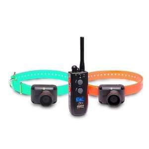  New   Training and Beeper 2 Dog 1 Mile Trainer by Dogtra 