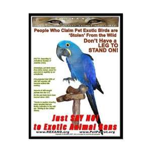  Parrot Leg, Pets Large Poster by  Everything 