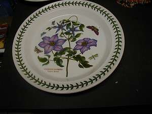   BOTANIC GARDEN CLEMATIS FLORIDA VIRGINS BOWER 10 1/2 PLATE  