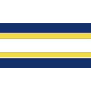  Indiana Pacers NBA Team Color Wallpaper Border by Writings 